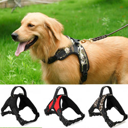 Dog Collar Harness Walk Out Hand Strap