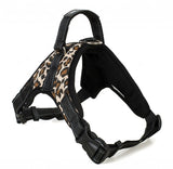 Dog Collar Harness Walk Out Hand Strap