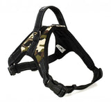 Dog Collar Harness Walk Out Hand Strap