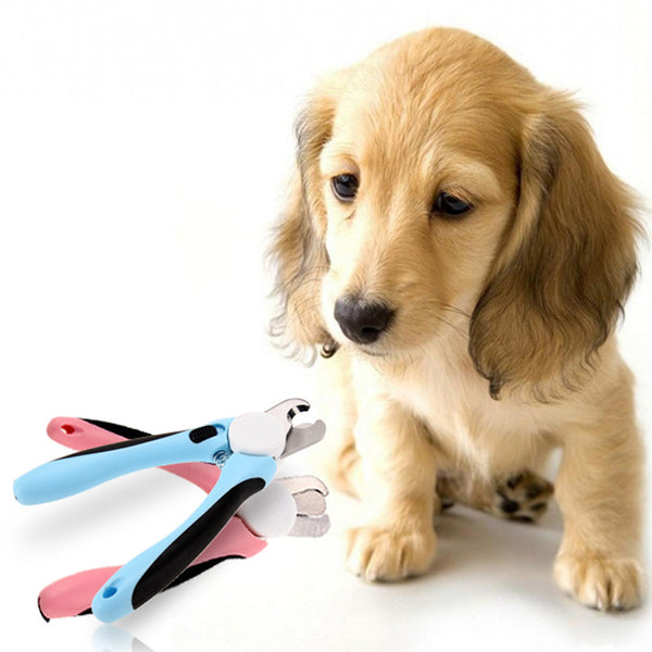 Best Dog Nail Clippers with Quick Sensor - Sharp Cuts and Safety Guard